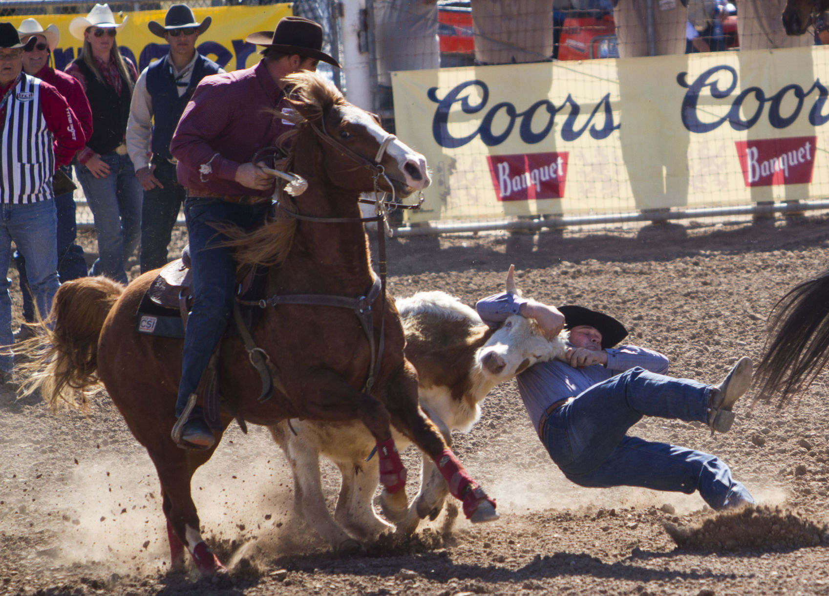 2018 Tucson Rodeo